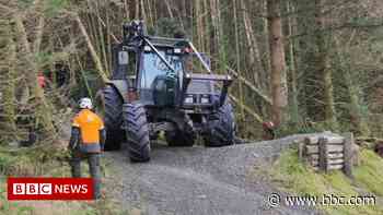 Forest safety plea as storm clear-up continues - BBC News