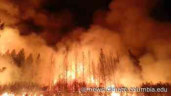 Forest Fires Increasingly Affecting Western Rivers and Streams, for Better and Worse - State of the Planet