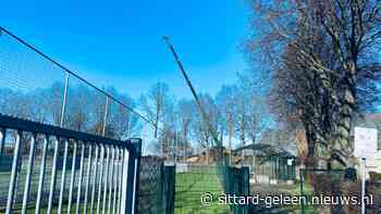 Omgewaaide boom van veld VV Sanderbout getakeld - Sittard-Geleen.nieuws.nl