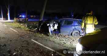 Beschonken bestuurder knalt tegen boom in Sint Hubert - De Gelderlander