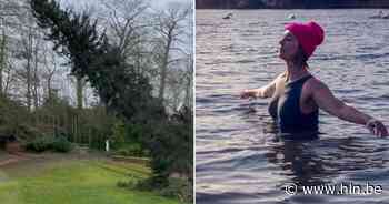 BV 24/7. Sven Ornelis zijn boom gaat tegen de grond en Evi Hanssen trotseert de kou - Het Laatste Nieuws