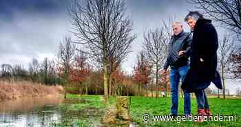 Marian en Adrie kapot van verdriet, boom voor overleden zoon Ron plots gekapt - De Gelderlander