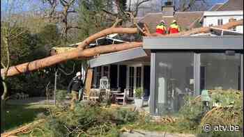 Boom valt op gloednieuwe aanbouw - ATV