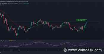 Cardano’s ADA Jumps Amid Recovery in Major Cryptos; Traders Remain Cautious - CoinDesk