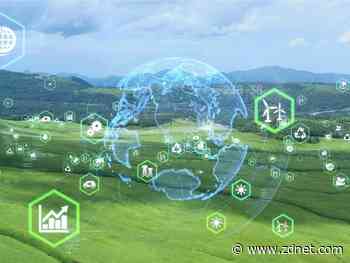 Growing sustainably: 3 industries where Google expects big changes