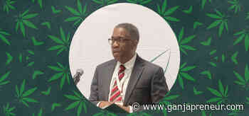 Mississippi Minority Cannabis Association: Education & Training for a Diverse Cannabis Industry - Ganjapreneur