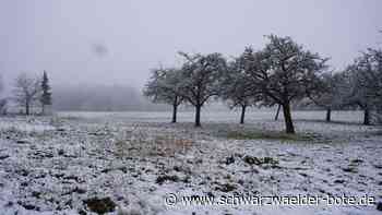 Baugebiet in Oberlengenhardt: Nachfrage übersteigt das Angebot bei Weitem