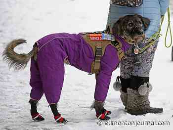 Edmonton weather: Sunny and windy with more snow on the way