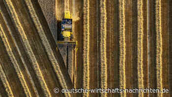 Krieg in der Ukraine bedroht Lieferungen von Weizen und Mais