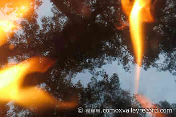 North Island College’s Artist Talk speakers explore relationships with water - Comox Valley Record