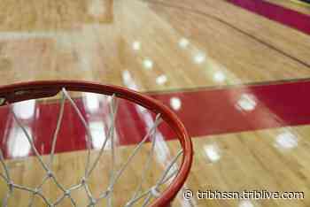 Upper St. Clair clamps down on defense, beats Penn-Trafford in Class 6A quarterfinals - TribLIVE