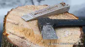 Mysterium in Wasserburg: Unbekannte fällen grundlos neu gepflanzten Baum