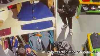 Modena, la proposta: «Contro le baby gang agenti in borghese» - La Gazzetta di Modena