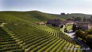 Casa E di Mirafiore joins the Bancroft Portfolio - Harpers Wine & Spirit Trade Review