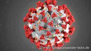 Corona im Kreis Calw: Inzidenz minimal gestiegen