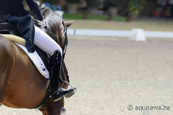 Kevin van Ham zegeviert in de CDI3* Grade V van Al Shaqab - equnews.be