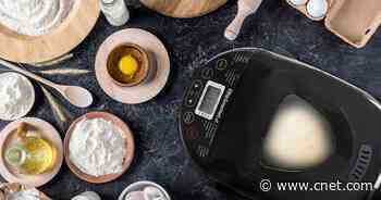 Take Your Cooking to the Next Level With Elite Gourmet Appliances Under $40     - CNET