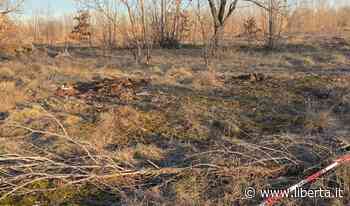Dischi per smerigliatrici abbandonati a Bosco Fornace Vecchia di Podenzano - Libertà