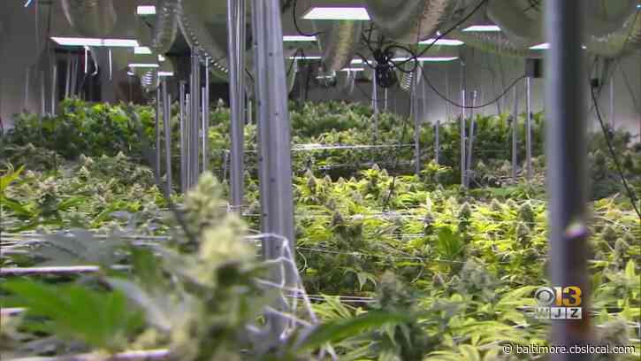 Maryland House Approves Recreational Marijuana Legislation