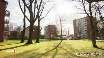 Bau von 300 Wohnungen in Eidelstedt gestoppt - NDR.de