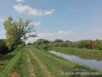 Oasi del Brusà, al via a Cerea le nuove piantumazioni - La Notizia.news