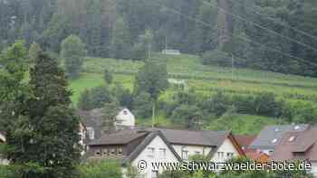 Mobilfunk in Hopfau - Infoveranstaltung klärt die Bevölkerung auf - Schwarzwälder Bote