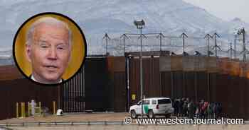 Biden Admin Asks Border Agents to Deploy to Europe Even as Southern Border Crisis Rages: Report