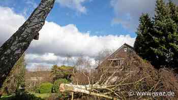 Klimawandel: Workshops zu Schutzmaßnahmen in Witten - Westdeutsche Allgemeine Zeitung