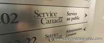 Fraudes: des prestataires de l’assurance-emploi privés de revenus