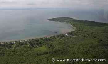 Port Colborne forges ahead with voluntary registration for cottage rentals - Niagarathisweek.com