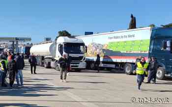 Bari, prosegue lo sciopero dei camionisti: tangenziale bloccata - Sky Tg24