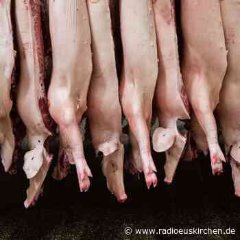 Lauterbach wirbt für weniger Fleischkonsum - radioeuskirchen.de