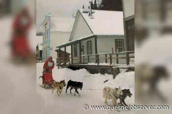 Chance encounter in Calcutta led Hixon man to dog sledding – Quesnel Cariboo Observer - Quesnel - Cariboo Observer