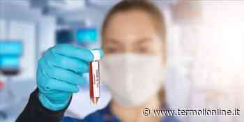 Termoli, Campomarino, Isernia, Campobasso: Bollettino Covid: in Molise 280 contagi e 334 guariti - Termoli Online