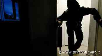 Furti fra Termoli e Petacciato: svaligiate case e aziende anche di giorno - Primonumero