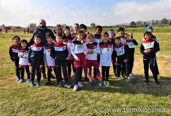 Termoli: Passione per la corsa campestre - Termoli Online