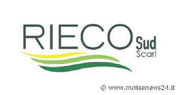 Convegno sull’ecosostenibilità ambientale domani a Termoli - Molise News 24