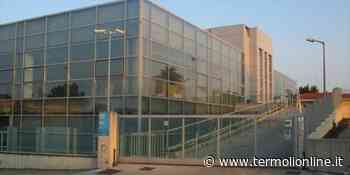 False mail da Inps, attenzione: si tratta di una nuova truffa - Termoli Online