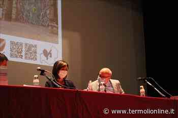 Assegnati cento milioni di euro per la Termoli-San Vittore (o quattro corsie) - Termoli Online