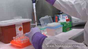 Hawaii reports 311 new coronavirus infections, 9 additional deaths - Hawaii News Now