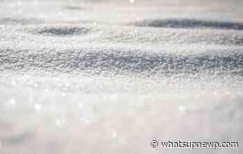 Here’s how much snow has fallen across Rhode Island: Feb. 25 - What'sUpNewp