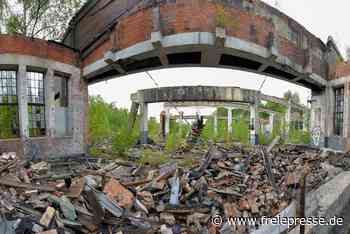 Bürgerinitiative Bitex will Reichenbacher Brachen fit für Unternehmen machen - Freie Presse