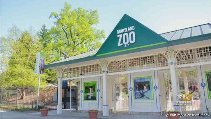 Maryland Zoo Returns To Regular Hours March 1