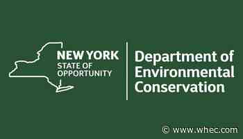 DEC sampling rainbow trout next month