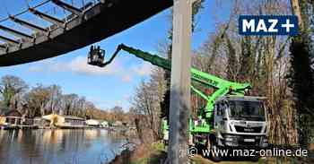 Rathenow: Ingenieur prüft Weinbergbrücke nach Baumunfall auf Schäden - Märkische Allgemeine Zeitung