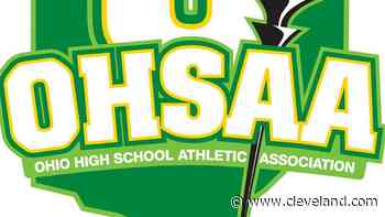 Solon’s Bethany Mercer takes fifth: OHSAA Division I girls diving results - cleveland.com