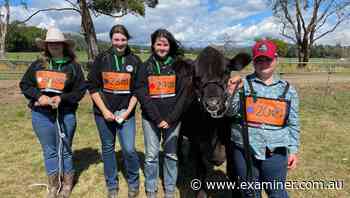 Tasmanian Junior Beef Expo Camp kicks off at Deloraine - The Examiner