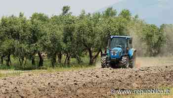 Crotone, organizzano maxi truffa per rivendere sotto banco ettolitri di carburante agricolo, acquistato a pre… - La Repubblica