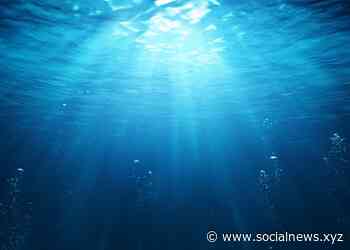 TN begins work on India’s first dugong reserve in Palk Bay - Social News XYZ