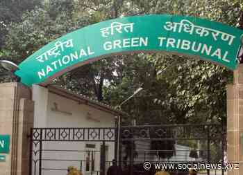 NGT asks Baghpat DM to act on polluting leather treatment work - Social News XYZ